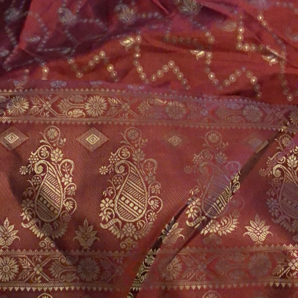 Authentic Sari Red with Gold thread